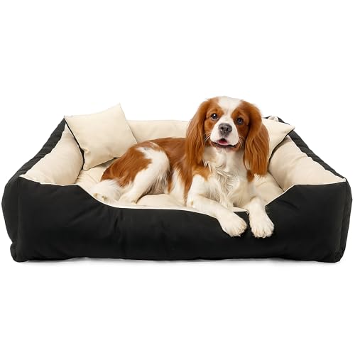 EDANTI Hundebett Hundekissen Hundekorb Katzenbett Mit 2 Kissen Wasserdichtes Hundesofa Für Kleine Mittelgroße & Große Hunde Dog Bed (Beige, 75x65 cm) von EDANTI