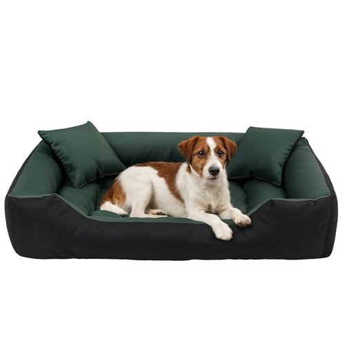 EDANTI Hundebett Hundekissen Hundekorb Katzenbett Mit 2 Kissen Wasserdichtes Hundesofa Für Kleine Mittelgroße & Große Hunde Dog Bed (Grün, 100x75 cm) von EDANTI