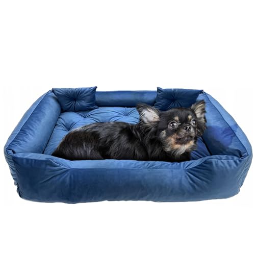 EDANTI Hundebett Hundekissen Hundekorb Katzenbett Velourshundebett Wasserdichtes Hundesofa Für Kleine Mittelgroße & Große Hunde Dog Bed (Blau, 70x60 cm) von EDANTI