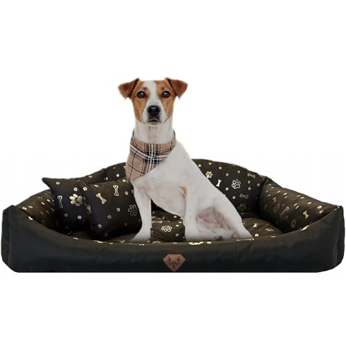EDANTI Hundebett Hundekissen Hundekorb Modell Shell Muschel Katzenbett Wasserdichtes Hundesofa Für Kleine Mittelgroße & Große Hunde Dog Bed (Braun mit goldenen Knochen, 75x65 cm) von EDANTI