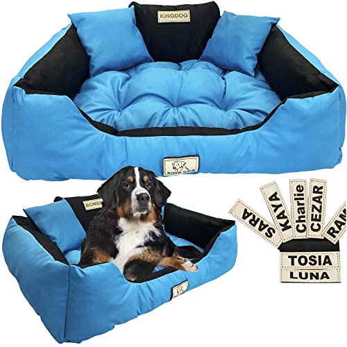 EDANTI Hundebett Hundekissen Katzenbett Personalisiert Hundesofa mit Namen L - XL für große mittelgroße & kleine Hunde (75x65, Blau) von EDANTI