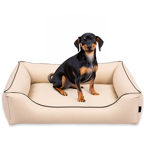 EDANTI Hundebett Wasserdicht Demontierbar, Leder, Hundekissen, Hundekorb, Hundesofa, Hundecouch, Sofa, Matte, Comfort (Beige, Schwarz Paspel, S) von EDANTI