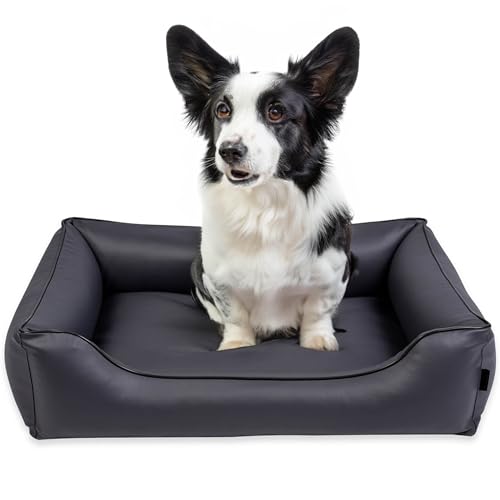 EDANTI Hundebett Wasserdicht Demontierbar, Leder, Hundekissen, Hundekorb, Hundesofa, Hundecouch, Sofa, Matte, Comfort (Stahl, Schwarz Paspel, M) von EDANTI