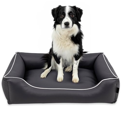 EDANTI Hundebett Wasserdicht Demontierbar, Leder, Hundekissen, Hundekorb, Hundesofa, Hundecouch, Sofa, Matte, Comfort (Stahl, Weiß Paspel, L) von EDANTI