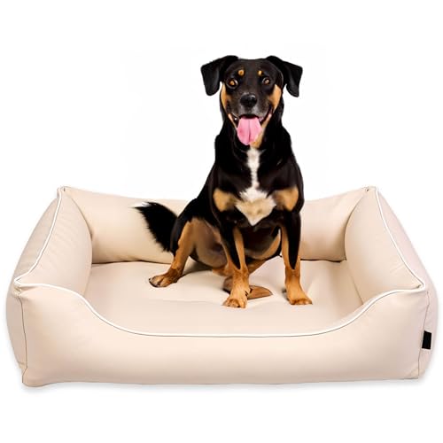 EDANTI Hundebett Wasserdicht Demontierbar, Leder, Hundekissen, Hundekorb, Hundesofa, Hundecouch, Sofa, Matte, Orthopädische (Beige, Weiß Paspel, L) von EDANTI