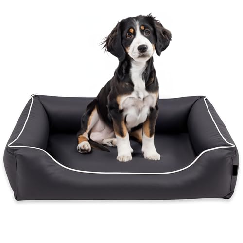 EDANTI Hundebett Wasserdicht Demontierbar, Leder, Hundekissen, Hundekorb, Hundesofa, Hundecouch, Sofa, Matte, Orthopädische (Stahl, Weiß Paspel, L) von EDANTI