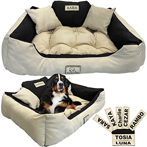 EDANTI Hundebett Hundekissen Katzenbett Personalisiert Hundesofa mit Namen L - XL für große mittelgroße & kleine Hunde (75x65, Beige) von EDANTI