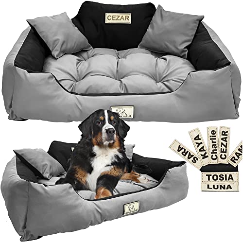 EDANTI Hundebett Hundekissen Katzenbett Personalisiert Hundesofa mit Namen L - XL für große mittelgroße & kleine Hunde (75x65, Grau) von EDANTI