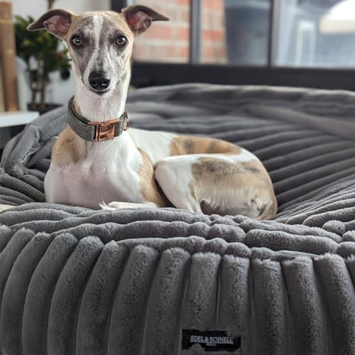 EDEL&SCHNELL Hundebett Bezug aus Nerz Kunstfell, Hundebettbezug 65 cm dunkelgrau mit Kapuze, Ersatzbezug für Hundebett Flocke, Cosybed, Hyggebed EDEL&SCHNELL Hundebett Bezug aus Nerz Kunstfell, Hundebettbezug 65 cm dunkelgrau mit Kapuze, Ersatzbezug für Hundebett Flocke, Cosybed, Hyggebed von EDEL&SCHNELL