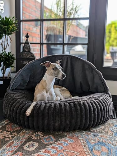 EDEL&SCHNELL Hundebett Wechselbezug dunkelgrau 125 cm Ersatz Bezug Hundebett Flocke mit Kapuze Bezüge als Hundehöhle aus weichem Kunstfell EDEL&SCHNELL Hundebett Wechselbezug dunkelgrau 125 cm Ersatz Bezug Hundebett Flocke mit Kapuze Bezüge als Hundehöhle aus weichem Kunstfell von EDEL&SCHNELL