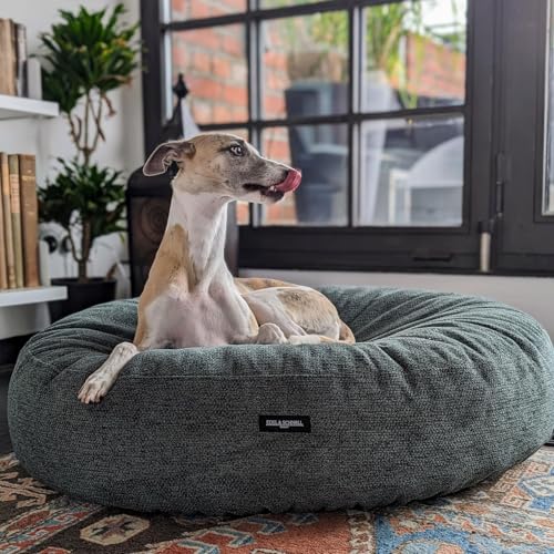 EDEL&SCHNELL Hundebett Wechselbezug grün 125 cm Ersatz Bezug Hundebett Flocke Bezüge für Hundebetten aus robusten Polsterstoff EDEL&SCHNELL Hundebett Wechselbezug grün 125 cm Ersatz Bezug Hundebett Flocke Bezüge für Hundebetten aus robusten Polsterstoff von EDEL&SCHNELL