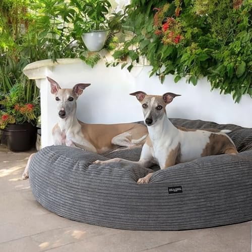EDEL&SCHNELL Hundebett Wechselbezug in Dunkelgrau, Ersatzbezug für runde Hundebetten 125 cm, Bezug aus weichem Baumwoll-Cord-Stoff EDEL&SCHNELL Hundebett Wechselbezug in Dunkelgrau, Ersatzbezug für runde Hundebetten 125 cm, Bezug aus weichem Baumwoll-Cord-Stoff von EDEL&SCHNELL