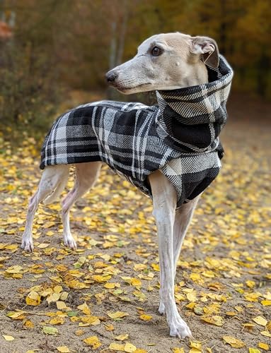 EDEL&SCHNELL Hundemantel große Hunde 60 bis 65 cm handgefertigte Hundejacke in Schottenkaro mit Bauchschutz Windhund Wintermantel wärmend mit Wollanteil von EDEL&SCHNELL