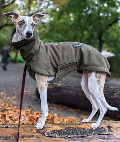 EDEL&SCHNELL Hundemantel mittelgroße Hunde 55 bis 60 cm luxuriöse Hundejacke in grün mit Bauchschutz Windhund Wintermantel wärmend mit Wildleder und weichem Kunstfell von EDEL&SCHNELL