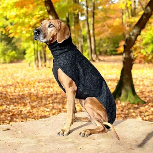 EDEL&SCHNELL Hundemantel wasserdicht, Woll-Wintermantel für Ridgebacks, Dalmatiner, Weimaraner und andere schlanke Rassen, Hunde Wintermantel Größe 50-55 EDEL&SCHNELL Hundemantel wasserdicht, Woll-Wintermantel für Ridgebacks, Dalmatiner, Weimaraner und andere schlanke Rassen, Hunde Wintermantel Größe 50-55 von EDEL&SCHNELL