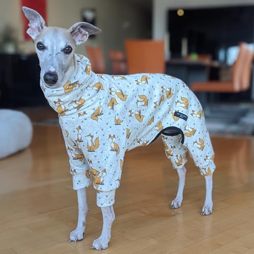 EDEL&SCHNELL Hundepullover mitelgroße Hunde aus kuscheliger Baumwolle, Windhund Pullover beige mit Fuchsmotiv, Hunde Pyjama Größe 50-55 cm EDEL&SCHNELL Hundepullover mitelgroße Hunde aus kuscheliger Baumwolle, Windhund Pullover beige mit Fuchsmotiv, Hunde Pyjama Größe 50-55 cm von EDEL&SCHNELL
