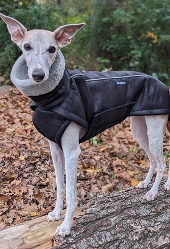 EDEL&SCHNELL Wintermantel kleine Hunde 40 bis 45 cm luxuriöser Hundemantel in grau mit Bauchschutz Windhund Hundejacke wärmend mit Wildleder und weichem Kunstfell von EDEL&SCHNELL