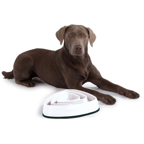 Edupet 06027AA Futternapf, Anti-schling Napf, Fressnapf, Feeder slow Eating, Slow Feeder, für kleine bis mittelgroße Hunde, 300ml, Durchmesser: 21 cm, beige von EDUPET