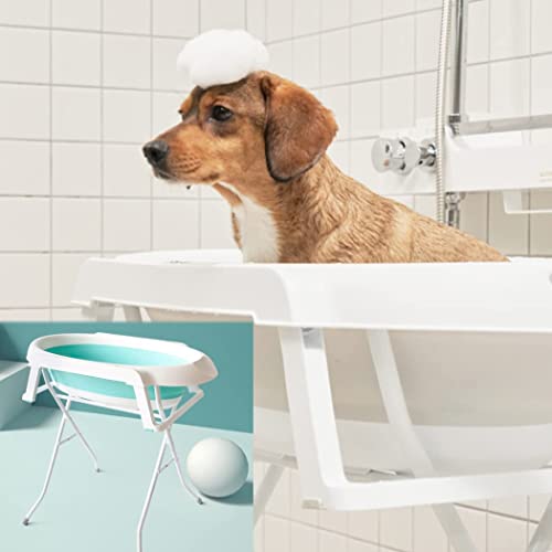 EEYZD Erhöhte Haustier-Hundebadewanne, tragbare Faltbare Waschstation mit Edelstahlständer zum Baden, Duschen und Pflegen, perfekt für kleine und mittelgroße Hunde, Katzen und andere Haustiere,Grün von EEYZD