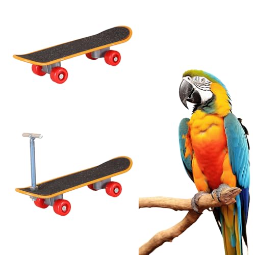 EFYUE 2 x Vogelspielzeug, Papageienspielzeug (groß) von EFYUE