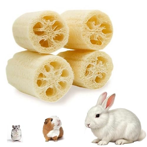 EFYUE 4 x Hasen-Kauspielzeug für Kaninchen, organisches natürliches Luffa-Spielzeug. Geeignet für kleine Tiere wie Kaninchen, Meerschweinchen und Hamster. EFYUE 4 x Hasen-Kauspielzeug für Kaninchen, organisches natürliches Luffa-Spielzeug. Geeignet für kleine Tiere wie Kaninchen, Meerschweinchen und Hamster. von EFYUE