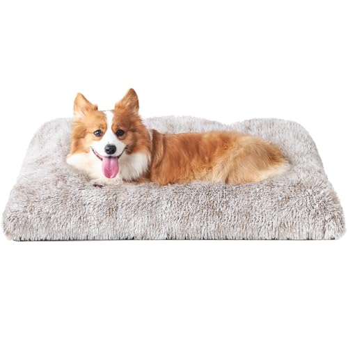 EHEYCIGA Flauschig Hundebett Kleine Hunde, Hundekissen Mittelgroße Hunde Waschbar, Kuschelig rutschfest Hundematte mit Langem Plüsch, Braun, 75x50cm EHEYCIGA Flauschig Hundebett Kleine Hunde, Hundekissen Mittelgroße Hunde Waschbar, Kuschelig rutschfest Hundematte mit Langem Plüsch, Braun, 75x50cm von EHEYCIGA