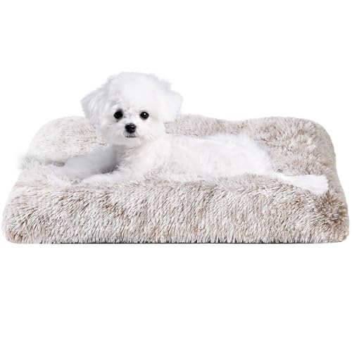 EHEYCIGA Flauschig Hundebett Kleine Hunde, Hundekissen Waschbar, Kuschelig rutschfest Hundematte mit Langem Plüsch, Braun, 60x45cm von EHEYCIGA