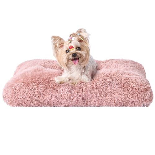EHEYCIGA Flauschig Hundebett Kleine Hunde, Hundekissen Waschbar, Kuschelig rutschfest Hundematte mit Langem Plüsch, Rosa, 60x45cm EHEYCIGA Flauschig Hundebett Kleine Hunde, Hundekissen Waschbar, Kuschelig rutschfest Hundematte mit Langem Plüsch, Rosa, 60x45cm von EHEYCIGA