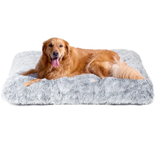 EHEYCIGA Flauschig Hundebett Grosse Hunde XL, Hundekissen Waschbar, Kuschelig rutschfest Hundematte mit Langem Plüsch, Grau, 105x70cm EHEYCIGA Flauschig Hundebett Grosse Hunde XL, Hundekissen Waschbar, Kuschelig rutschfest Hundematte mit Langem Plüsch, Grau, 105x70cm von EHEYCIGA