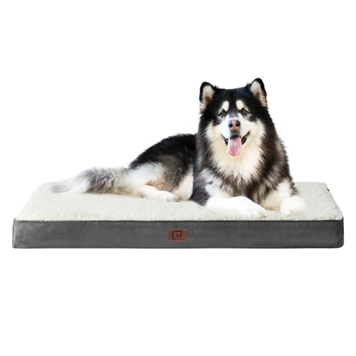EHEYCIGA Orthopädisches Hundebett XXL Grosse Hunde, Hundekissen Waschbar Flauschig, Hundematte Hundematratze mit Abnehmbarem Deckel für Kiste EHEYCIGA Orthopädisches Hundebett XXL Grosse Hunde, Hundekissen Waschbar Flauschig, Hundematte Hundematratze mit Abnehmbarem Deckel für Kiste von EHEYCIGA