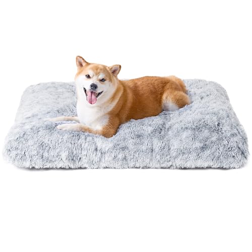 EHEYCIGA Flauschig Hundebett Kleine Hunde, Hundekissen Mittelgroße Hunde Waschbar, Kuschelig rutschfest Hundematte mit Langem Plüsch, Grau, 75x50cm EHEYCIGA Flauschig Hundebett Kleine Hunde, Hundekissen Mittelgroße Hunde Waschbar, Kuschelig rutschfest Hundematte mit Langem Plüsch, Grau, 75x50cm von EHEYCIGA