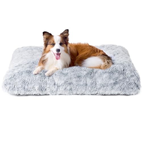 EHEYCIGA Flauschig Hundebett Mittelgroße Hunde, Hundekissen Grosse Hunde Waschbar, Kuschelig rutschfest Hundematte mit Langem Plüsch, Grau, 90x60cm von EHEYCIGA