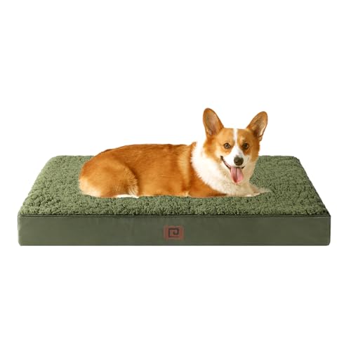 EHEYCIGA Orthopädisches Hundebett Mittelgroße Hunde, Hundekissen Waschbar Flauschig, Hundematte Hundematratze mit Abnehmbarem Deckel für Kiste von EHEYCIGA