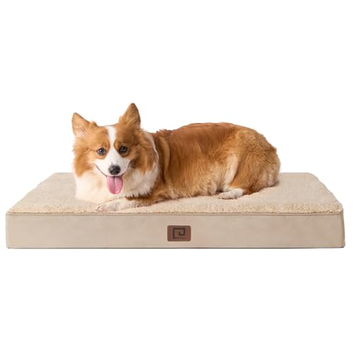 EHEYCIGA Orthopädisches Hundebett Mittelgroße Hunde, Hundekissen Waschbar Flauschig, Hundematte Hundematratze mit Abnehmbarem Deckel für Kiste EHEYCIGA Orthopädisches Hundebett Mittelgroße Hunde, Hundekissen Waschbar Flauschig, Hundematte Hundematratze mit Abnehmbarem Deckel für Kiste von EHEYCIGA
