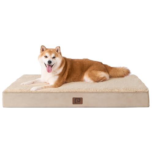 EHEYCIGA Orthopädisches Hundebett Mittelgroße Hunde, Hundekissen Waschbar Flauschig, Hundematte Hundematratze mit Abnehmbarem Deckel für Kiste EHEYCIGA Orthopädisches Hundebett Mittelgroße Hunde, Hundekissen Waschbar Flauschig, Hundematte Hundematratze mit Abnehmbarem Deckel für Kiste von EHEYCIGA