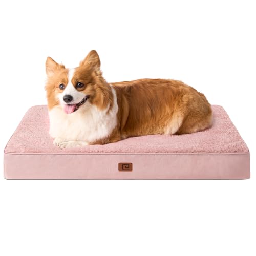 EHEYCIGA Orthopädisches Hundebett Mittelgroße Hunde, Hundekissen Waschbar Flauschig, Hundematte Hundematratze mit Abnehmbarem Deckel für Kiste EHEYCIGA Orthopädisches Hundebett Mittelgroße Hunde, Hundekissen Waschbar Flauschig, Hundematte Hundematratze mit Abnehmbarem Deckel für Kiste von EHEYCIGA