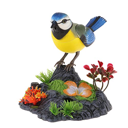 EHJRE Vogelspielzeug mit Klang und Bewegung für Schreibtisch oder Deko EHJRE Vogelspielzeug mit Klang und Bewegung für Schreibtisch oder Deko von EHJRE
