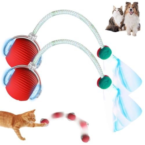 EHOTER Elektrisches Katzenspielzeug mit Schwanz für Hunde und Katzen, Selbstbeschäftigung, interaktives Katzenspielzeug mit Libellenschwanz, unregelmäßiger Bewegung, rollender Ball, intelligenter EHOTER Elektrisches Katzenspielzeug mit Schwanz für Hunde und Katzen, Selbstbeschäftigung, interaktives Katzenspielzeug mit Libellenschwanz, unregelmäßiger Bewegung, rollender Ball, intelligenter von EHOTER