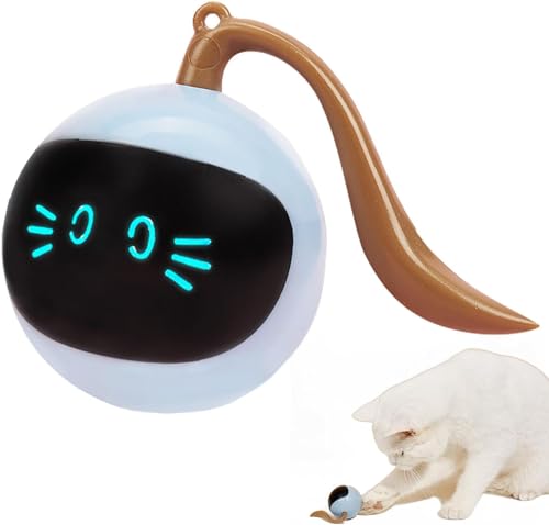EHOTER Haustier Elektrische Smart Automatisch Selbst-Beißende Lustige Catballs Träumende Spielzeug Katze Spielzeug automatische Katze Ball, Katze intelligente elektrische Spielzeug Geschenk (Blau) von EHOTER