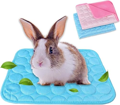 EHOTER Haustier Kühlmatte Kühldecke Selbstkühlend Waschbar Sommer Eismatte Bett Atmungsaktiv Kühlpad Kühlkissen für Kleine Haustiere Welpe Meerschweinchen Hamster Kaninchen Hamster Katze (Blau+Pink) von EHOTER