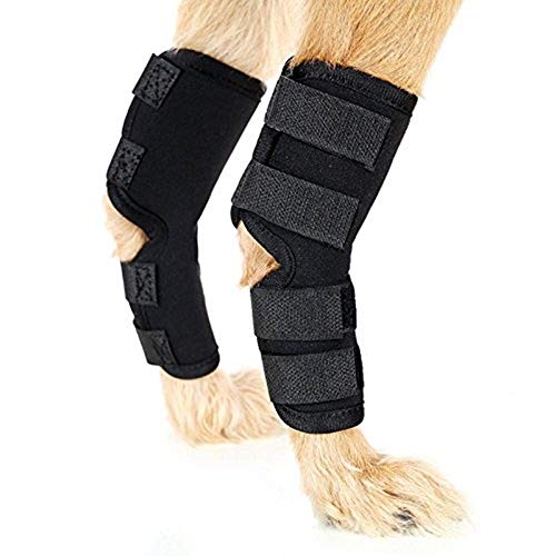 EHOTER Hunde Bandage für Hinterbeine Unterstützt Wundheilung und Verstauchungen durch Arthritis mit 4 Sicherheits-Klettriemen um Verletzungen und Verstauchungen zu verhindern (L) von EHOTER