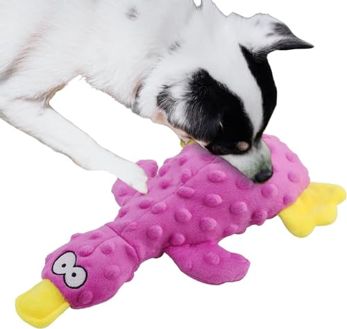 EHOTER Hundespielzeug Kuscheltiere - Spielzeug für Haustiere mit Mehreren Haustieren,Appetit anregendes Enten-Hundespielzeug, quietschendes Haustierspielzeug, Plüsch-Hundekauspielzeug von EHOTER