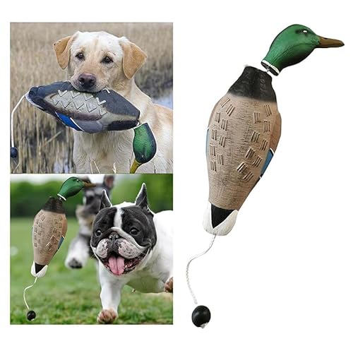 EHOTER Hundetraining Entenschnuller Robust Langlebig Trainingsdummy mit Wurfknebel Hund Retrieve Schnuller Vogeldummy Hundetraining für Welpen Erwachsene Jagdhunde Katzen Haustier EHOTER Hundetraining Entenschnuller Robust Langlebig Trainingsdummy mit Wurfknebel Hund Retrieve Schnuller Vogeldummy Hundetraining für Welpen Erwachsene Jagdhunde Katzen Haustier von EHOTER