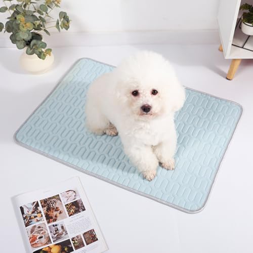 EHOTER Kühlmatte für Hunde und Katzen, langlebige Haustiermatten, ungiftiges Gel, kühlend für Hunde und Katzen im heißen Sommer (Grau, XXL) von EHOTER