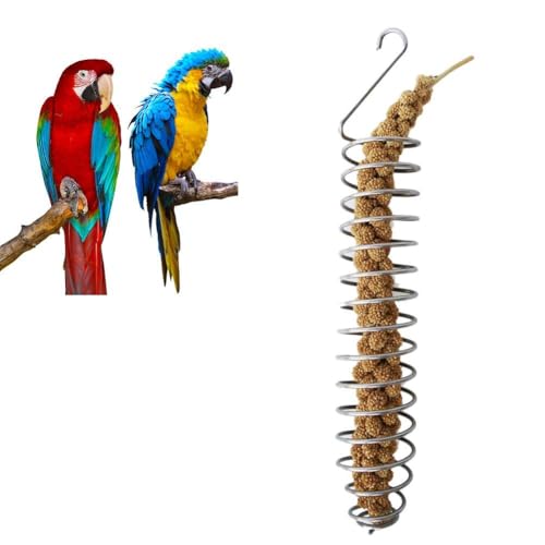 Futterkorb für Papageien, Obstkorb, Edelstahl, Fütterungsgerät, Vogelkäfig, Futterkorb, Obstkorb für Vögel, Obst, Gemüse, Vogelfutter, Spielzeug für Sittiche, Nymphensittiche (1 Stück) von EHOTER