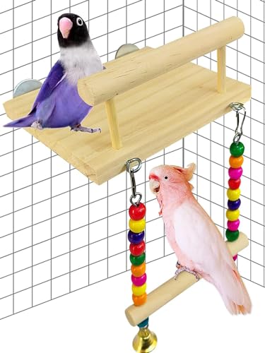 Sitzstangen für Vögel Papagei Holzplattform Schaukeln mit Schaukel Glocke Kauen für Tiere grüne Wangen Chinchilla Hamster Wellensittich (C) von EHOTER