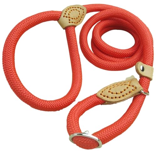 Hanfseil-Hundehalsband, verstellbare Hundeleine für kleine, mittelgroße und große Hunde, Outdoor-Sport, Welpen, Traktion, Rot, 1 cm x 150 cm Hanfseil-Hundehalsband, verstellbare Hundeleine für kleine, mittelgroße und große Hunde, Outdoor-Sport, Welpen, Traktion, Rot, 1 cm x 150 cm von EHYQK