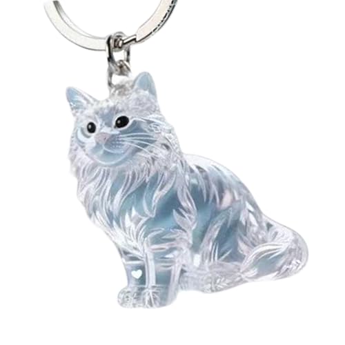EHZBRCN Pet Hair Memorial Case Schlüsselbund, Katzen Hair Memorial Keepsakes Schlüsselbund Boxpendant, Leichte Acryl Dekorative Haustierpelz Fall, Für Katzenliebhaber EHZBRCN Pet Hair Memorial Case Schlüsselbund, Katzen Hair Memorial Keepsakes Schlüsselbund Boxpendant, Leichte Acryl Dekorative Haustierpelz Fall, Für Katzenliebhaber von EHZBRCN