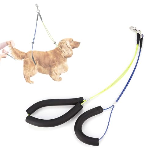 Verstellbare Hundepflegeleine aus Edelstahl, mit Schaumstoff-Baumwollhalsband, Hundepflegeschlaufe, Hundepflege-Bauchgurt, für Hundepflegetisch ohne Sitzhalter (Gelb/Blau) von EIMSOAH
