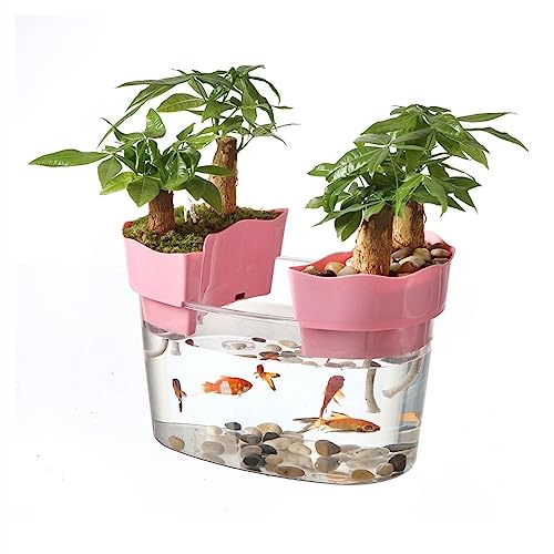 Fischschalen Aquarium Aquarium Acryl Transparent Aquarium Tank Schildkröte Tank Kleiner einfacher ökologischer Tank for Aquarien Bonsai Desktop Ornamente Mittelstücke Vase (Size : S:25cm) von EINES